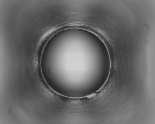 X0000112891406200908211444