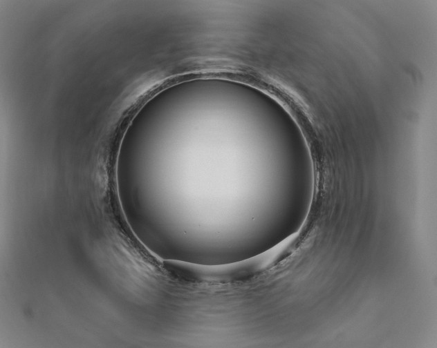 X0000112891407200908211444