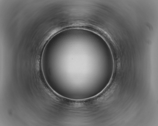 X0000112891409200908211444