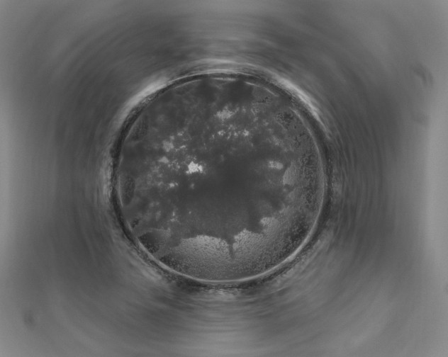 X0000112891411200908211444