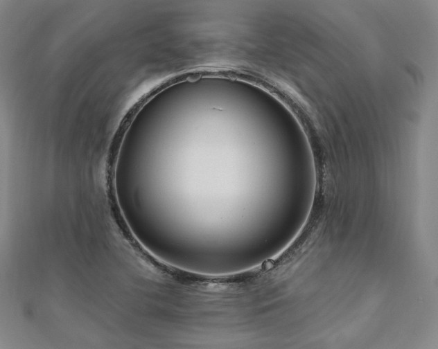 X0000112891412200908211444