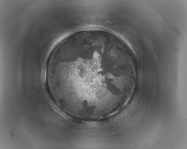 X0000112891413200908211444