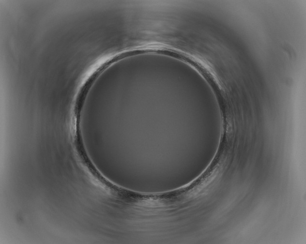 X0000112891414200908211444