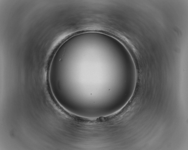 X0000112891416200908211444