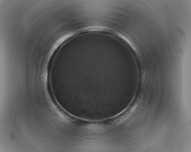X0000112891418200908211444