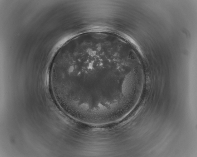 X0000112891419200908211444