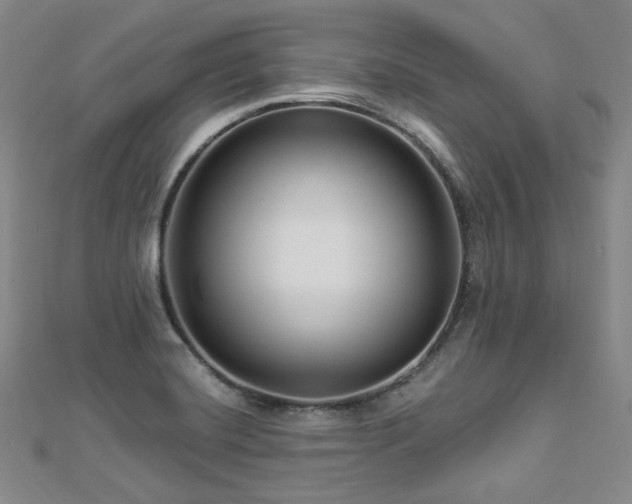 X0000112891420200908211444