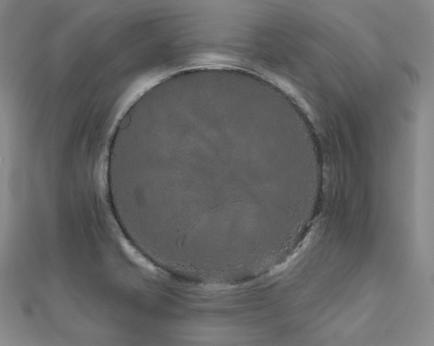 X0000112891421200908211444