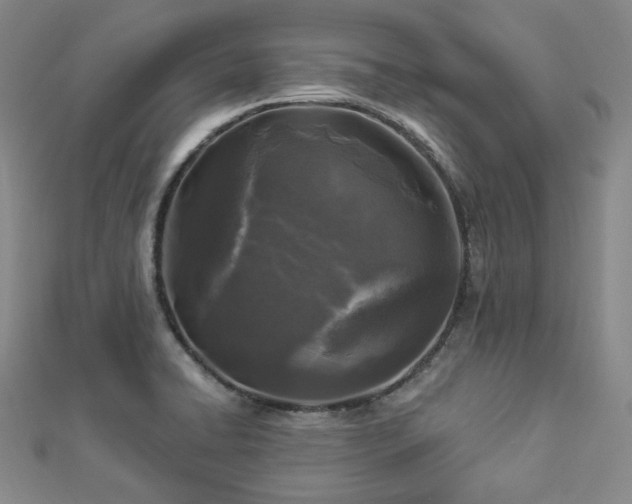 X0000112891422200908211444