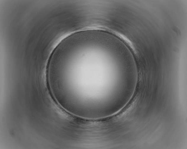 X0000112891423200908211444