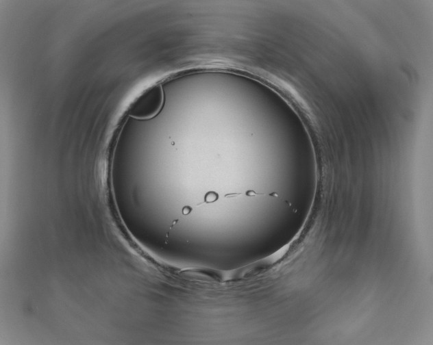 X0000112891424200908211444