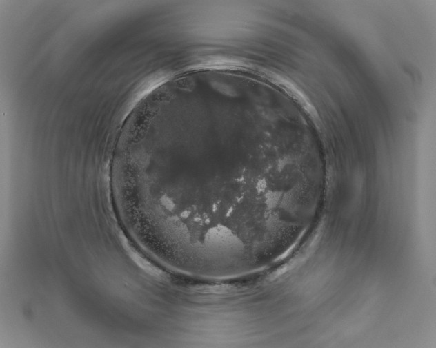 X0000112891425200908211444