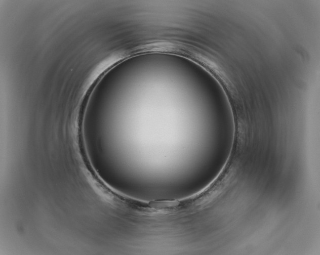 X0000112891426200908211444