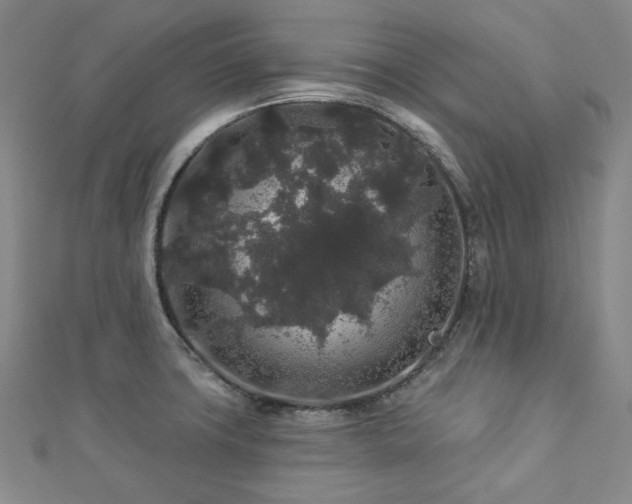 X0000112891427200908211444