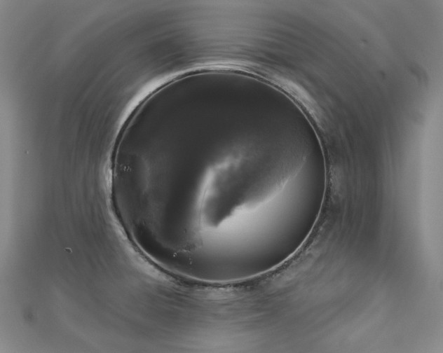 X0000112891428200908211444