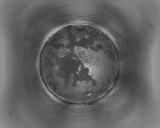 X0000112891429200908211444