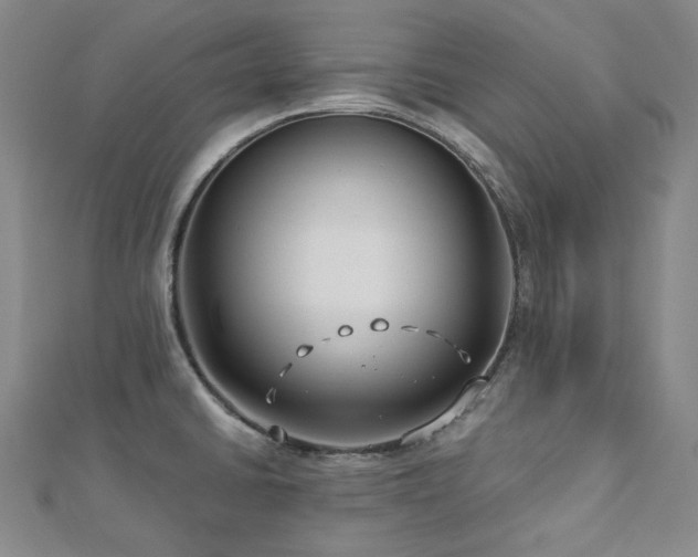 X0000112891430200908211444