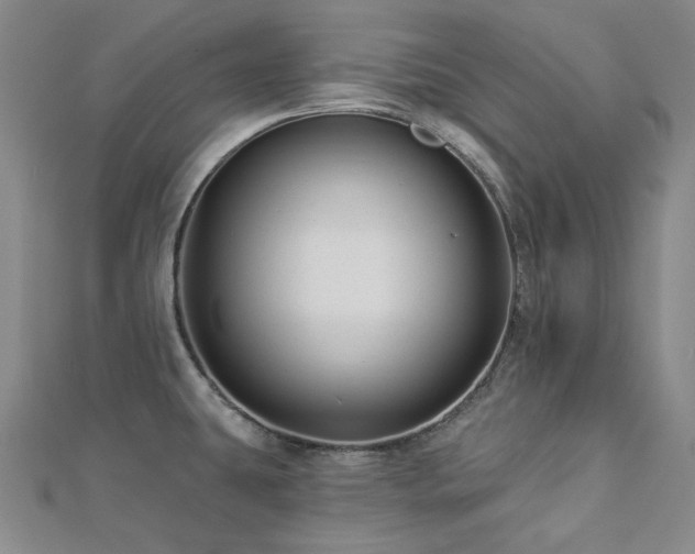 X0000112891431200908211444