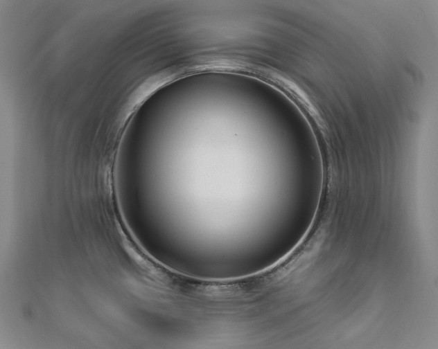 X0000112891433200908211444