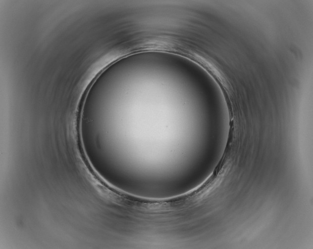 X0000112891434200908211444