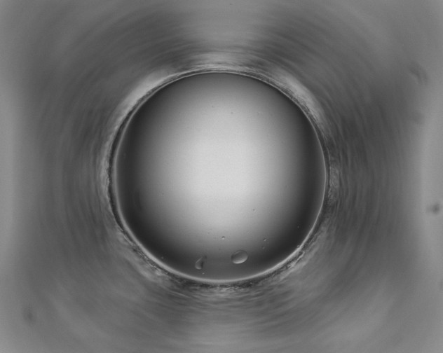 X0000112891435200908211444