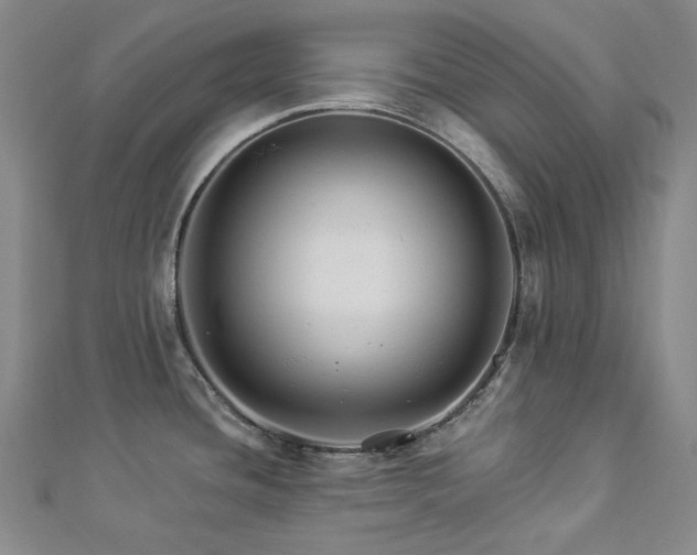 X0000112891436200908211444