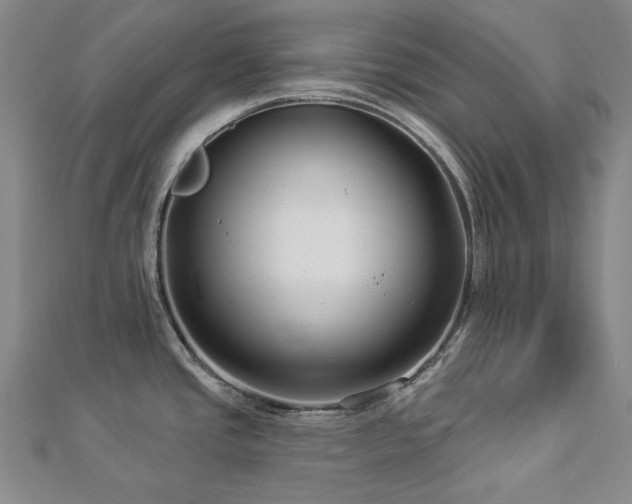X0000112891437200908211444