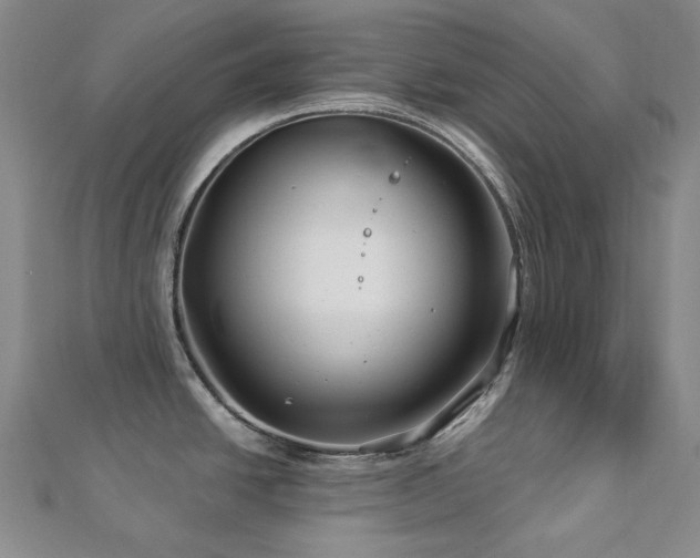 X0000112891438200908211444