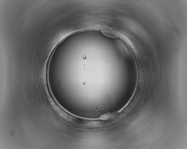 X0000112891439200908211444