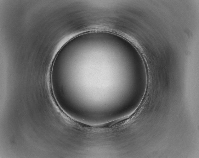 X0000112891440200908211444