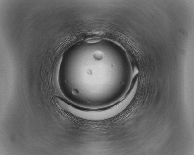X0000112891441200908211443