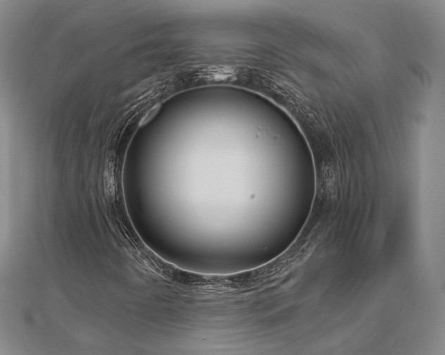 X0000112891442200908211443