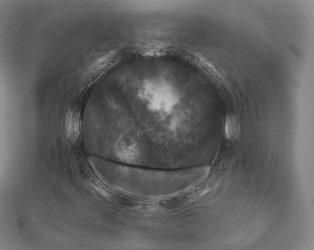 X0000112891444200908211443