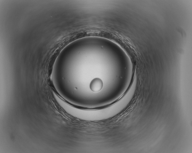 X0000112891445200908211443