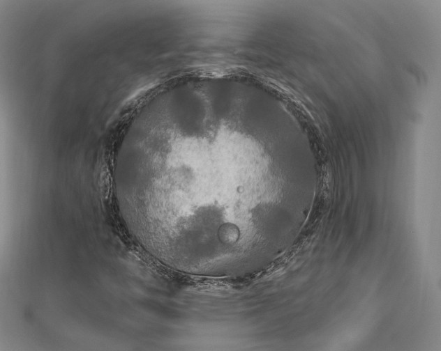 X0000112891446200908211443
