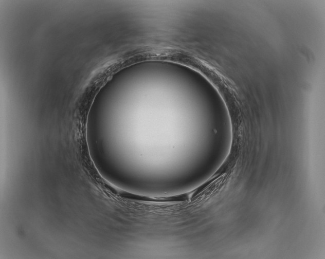 X0000112891447200908211443