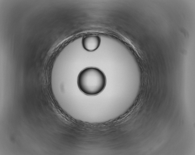 X0000112891448200908211443