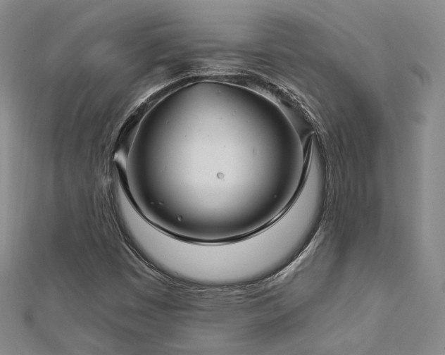 X0000112891449200908211443