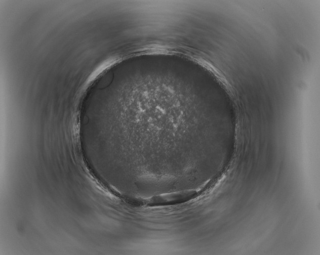 X0000112891450200908211443