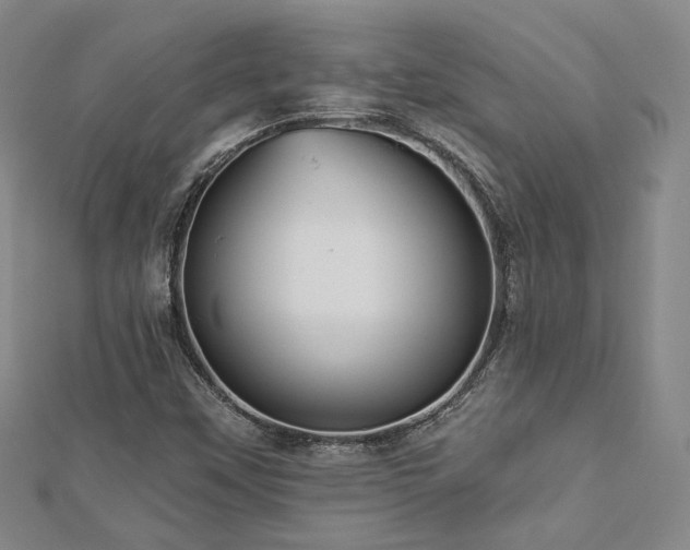 X0000112891451200908211443