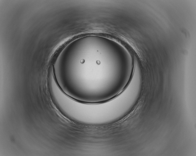 X0000112891452200908211443