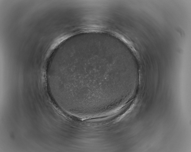 X0000112891453200908211443