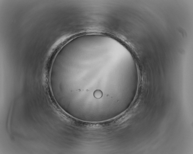 X0000112891454200908211443