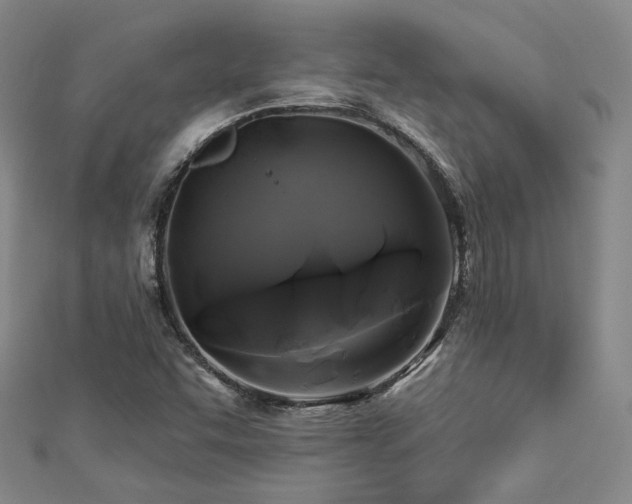 X0000112891455200908211443