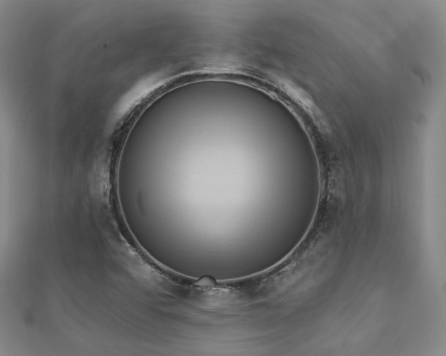 X0000112891456200908211443