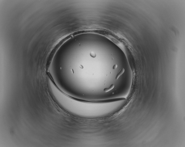 X0000112891457200908211443