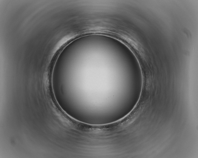 X0000112891458200908211443