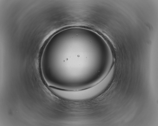 X0000112891460200908211443