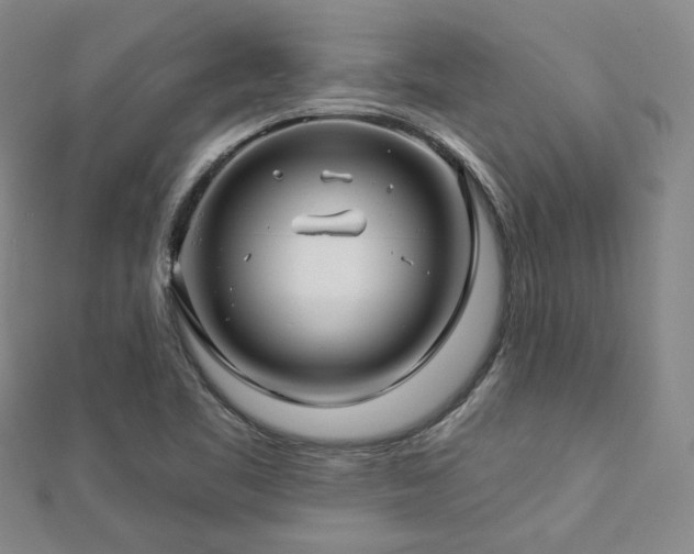 X0000112891461200908211443