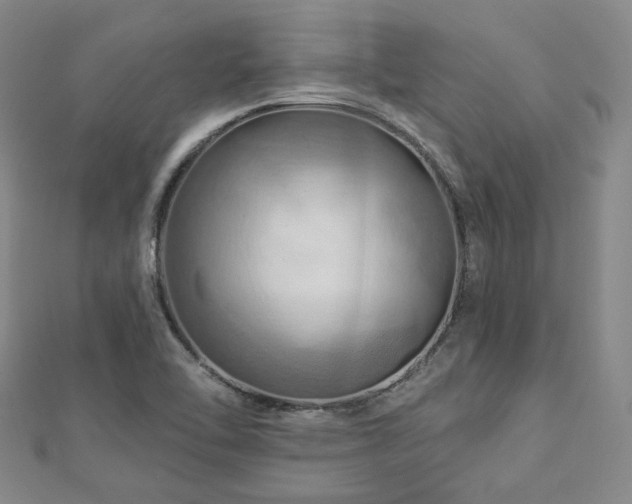 X0000112891462200908211443